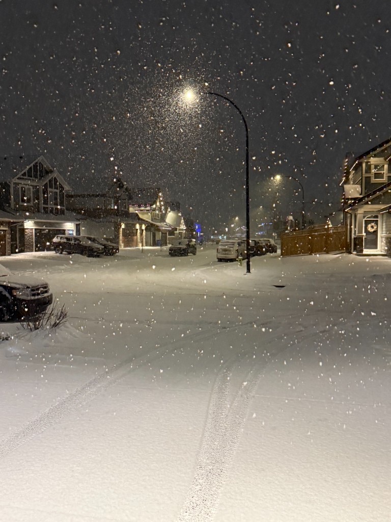 Heavy snow falling over a residential street at night in Calgary