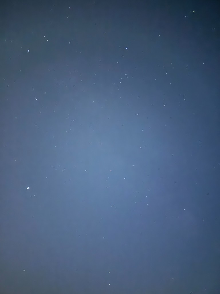 A dense field of stars in a blue night sky