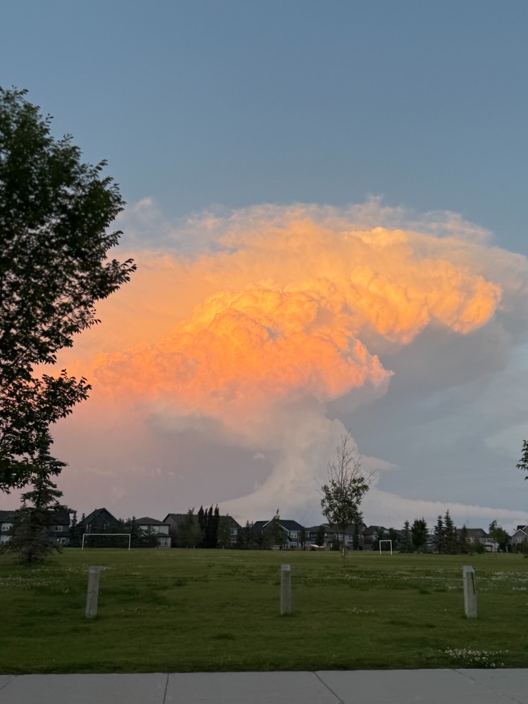 A towering storm cloud lit orange by the setting sun